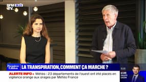 La transpiration, comment ça marche ? - 17/09