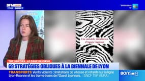 Top Sorties Lyon du vendredi 29 novembre - 69 stratégies obliques à la Biennale de Lyon