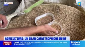 Agriculteurs: un bilan catastrophique en Île-de-France à cause des fortes précipitations du début de l'année