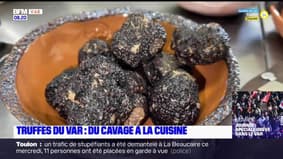 Passions Provence du samedi 4 février 2023 : Truffes du Var, du cavage à la cuisine