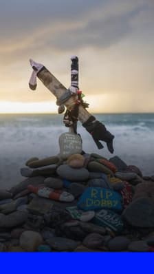 Des fans de Harry Potter font dévier un projet de câble électrique pour protéger la "tombe" de Dobby