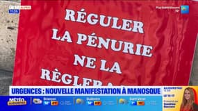 "Les gens vont mourir": 200 personnes mobilisées pour la réouverture complète des urgences de Manosque