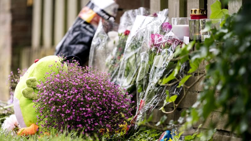 Le meurtre d'un petit garçon de 9 ans enlevé par un récidiviste émeut les Pays-Bas
