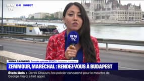 Viktor Orban invite Eric Zemmour et Marion Maréchal pour assister à son "sommet sur la démographie" à Budapest