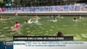 "J’ai testé": la baignade dans le bassin de La Villette à Paris