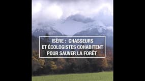 Isère: chasseurs et écologistes cohabitent pour sauver la forêt