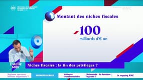 Niches fiscales: "Si on m'enlève la mienne, je n'ai aucun problème", assure Daniel Riolo