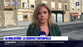 Femme tuée à Lyon: l'ex-compagnon de la victime interpellé