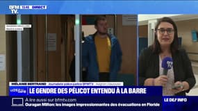 Procès des viols de Mazan: le gendre des Pélicot témoigne à la barre