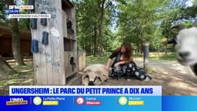 Ungersheim: le parc du Petit Prince fête ses 10 ans