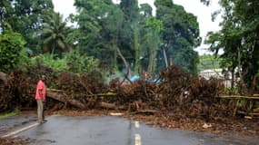 Le barrage fait d'arbres coupés et d'abattis qui coupait complètement l'accès au port de Longoni à Mayotte, le 5 avril 2018