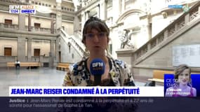 Affaire Sophie Le Tan: Jean-Marc Reiser condamné à la perpétuité