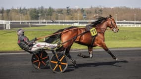 Jabalpur crée la surprise dans le Prix René Ballière