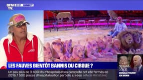L'ancien directeur du cirque Pinder assure que "le public ne vient pas" sans les animaux