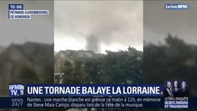 Arbres arrachés, maisons détériorées... Une tornade a balayé une partie de la Meurthe-et-Moselle