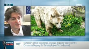 Ours dans les Zoos: "Il y a une prise de conscience que l'animal sauvage n'a pas sa place dans un enclos"