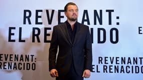 Leonardo Di Caprio en conférence de presse le 26 janvier 2016