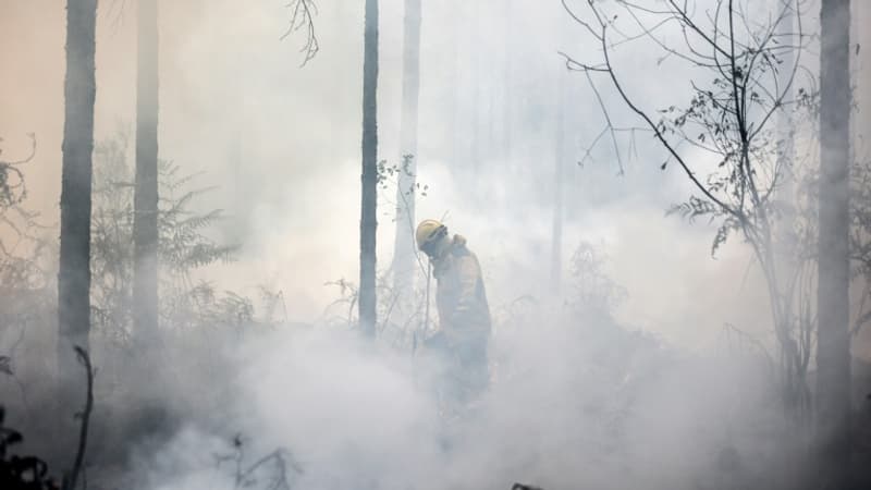 Les feux de forêt ont été multipliés par deux dans le monde en vingt ans, selon une étude