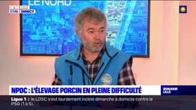 Élevage porcin en difficulté: pour le président de la section porcine de la FDSEA 59, il faut notamment "sauver les jeunes agriculteurs"