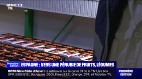 Inondations en Espagne: vers une pénurie de fruits et légumes?