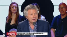 Exécution de djihadistes français : Pour Gilles-William Goldnadel, "celui qui donne sa pitié au méchant fait tort à l'innocent !"
