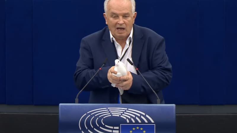 L'eurodéputé slovaque Miroslav Radacovsky lâche une colombe au Parlement européen de Strasbourg, le 24 avril 2024.