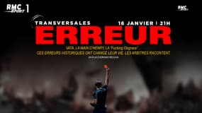 "Erreur" : L'arbitre de France - Irlande traumatisé par son erreur (Teaser Transversales)