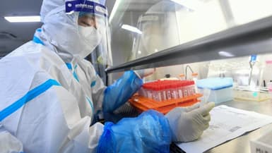 Un technicien travaille sur des prélèvements de tests Covid dans un laboratoire de Wuhan, le 4 août 2021 en Chine