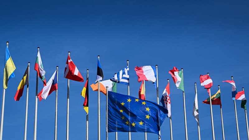Européennes 2024: ce que disent les sondages à deux mois du scrutin