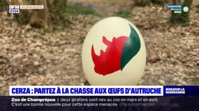 Calvados: une chasse aux œufs d'autruche au parc Cerza