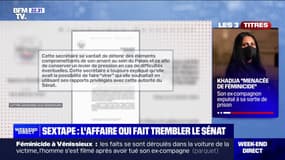 Sextape: l'affaire qui fait trembler le Sénat