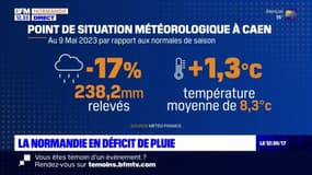 Normandie: la région en déficit pluviométrique