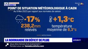 Normandie: la région en déficit pluviométrique