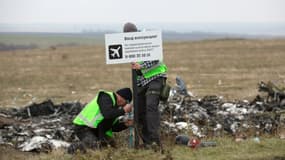 Le site du crash du MH17 le 11 novembre 2014 près du villlage Grabove (est de l'Ukraine) ou s'est écrasé l'appareil de Malaysia Airlines tuant 298 personnes en juillet 2014