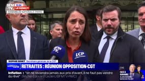 Retraites: Sophie Binet "appelle l'ensemble des députés à prendre leurs responsabilités le 8 juin prochain" 