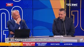 Des voyageurs de la SNCF assurent avoir vu des punaises de lit dans leurs TGV