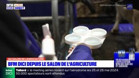 Salon de l'Agriculture: BFM DICI en direct de la Porte de Versailles à la découverte des anaystes laitiers 