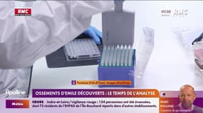 Ossements d'Émile découverts : le temps de l'analyse