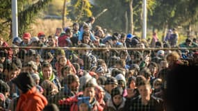 Des migrants à la frontière entre la Slovénie et l'Autriche en novembre 2015