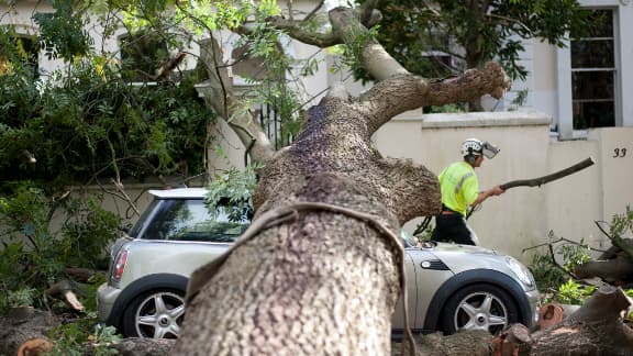 Un travailleur nettoie les débris après la chute d'un arbre à Londres, le 28 octobre.