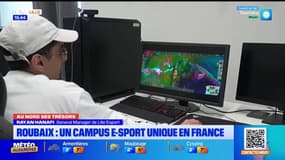 Au Nord ses trésors - Les Hauts-de-France, terre de jeux vidéos