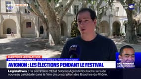 Les élections législatives vont se tenir pendant le festival d'Avignon