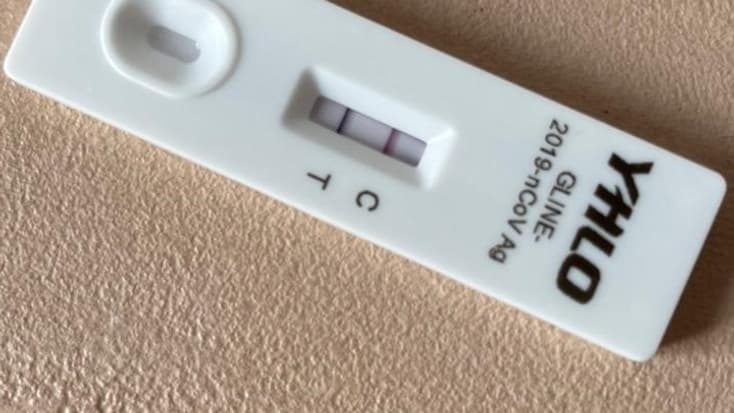 L'humoriste a publié son autotest positif sur Instagram.