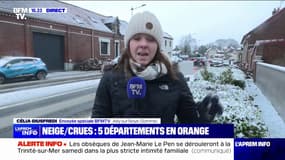 Somme: jusqu'à 5 centimètres de neige attendus