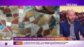 RMC s’engage pour vous : Des habitants du Tarn envahis par des mouches - 03/11
