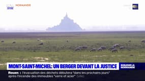 Mont-Saint-Michel: un berger devant la justice
