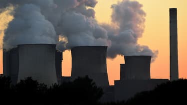 La ministre de l'Écologie a tranché (image d'illustration)