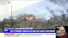 "On ne voyait plus rien dans le village": le récit d'une habitante de Cerbère, évacuée de sa maison en raison de l'incendie en cours dans les Pyrénées-Orientales