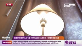 Électricité : une hausse des prix hétérogène