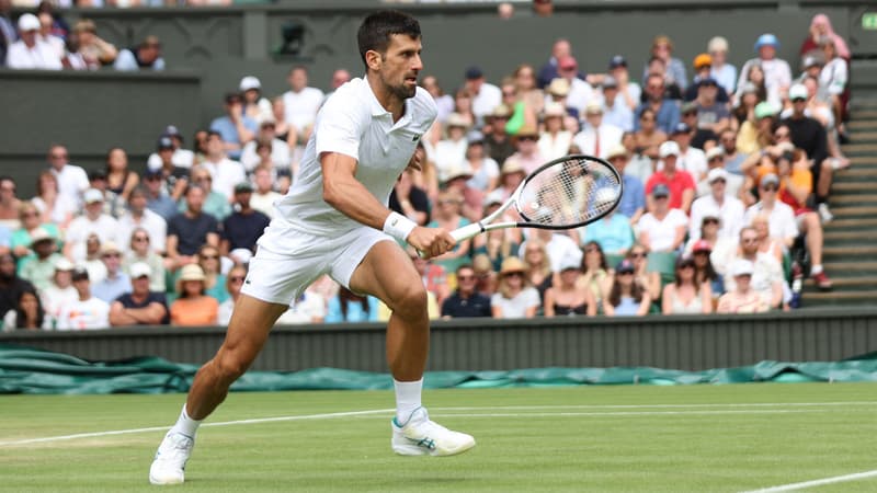 N. Djokovic